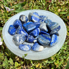 Load image into Gallery viewer, Lapis Lazuli Tumbled in Selenite Bowl - Down To Earth