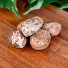 Load image into Gallery viewer, Snakeskin Tumbled on a wooden surface high angle - Down to Earth