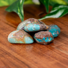 Load image into Gallery viewer, Turquoise Tumbled on a wooden surface - Down to Earth