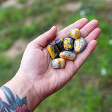 Load image into Gallery viewer, Tumbled Bumblebee Jasper in a hand - Down To Earth