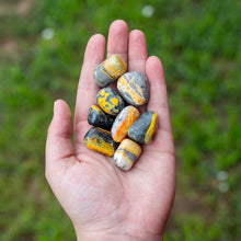 Load image into Gallery viewer, Tumbled Bumblebee Jasper in a hand - Down To Earth