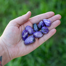 Load image into Gallery viewer, Tumbled Charoite in a the Palm of a Hand - Down To Earth