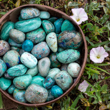 Load image into Gallery viewer, Tumbled Chrysocolla in coconut bowl - Down To Earth