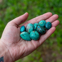 Load image into Gallery viewer, Tumbled Chrysocolla in Palm of a Hand - Down To Earth