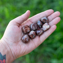 Load image into Gallery viewer, Tumbled Garnet in Palm of a Hand - Down To Earth