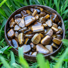 Load image into Gallery viewer, Tumbled Gold Tiger's Eye in a Coconut Bowl - Down To Earth