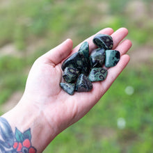 Load image into Gallery viewer, Tumbled Kambaba Jasper in the Palm of a Hand  - Down To Earth Online Metaphysical Store