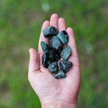 Load image into Gallery viewer, Tumbled Kambaba Jasper in the Palm of a Hand  - Down To Earth Online Healing Crystals Retailer