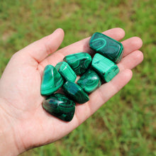 Load image into Gallery viewer, Tumbled Malachite in the palm of a hand - Down to Earth