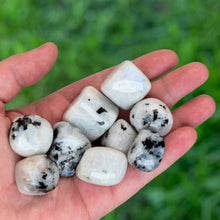 Load image into Gallery viewer, Tumbled Rainbow Moonstone in the palm of a hand - Down To Earth