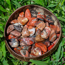 Load image into Gallery viewer, Tumbled Red Brecciated Jasper in a Coconut Bowl - Down to Earth