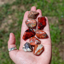 Load image into Gallery viewer, Tumbled Red Brecciated Jasper in the Palm of a Hand - Down to Earth