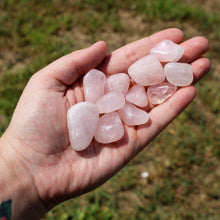 Load image into Gallery viewer, Tumbled Rose Quartz in the Palm of a hand - Down To Earth