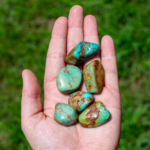 Load image into Gallery viewer, Tumbled Turquoise in Palm of a Hand - Down To Earth