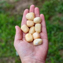 Load image into Gallery viewer, Tumbled Yellow Calcite in the Palm of a Hand - Down To Earth