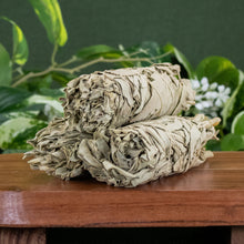 Load image into Gallery viewer, White Sage Smudge Stick 2x5 group photo with plants displayed on a styled background - Down to Earth