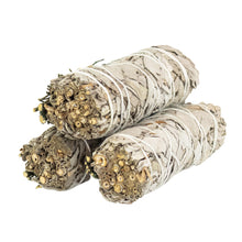 Load image into Gallery viewer, White Sage with Rosemary Smudge Stick group photo on a white background - Down To Earth