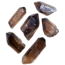 Load image into Gallery viewer, Wholesale 1lb Smoky Quartz Points Spread Out - Down To Earth