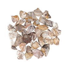 Load image into Gallery viewer, Zebra Jasper on a white background - Down to Earth