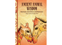 Load image into Gallery viewer, Ancient Animal Wisdom: Deck & Book Set Oracle - Down To Earth Co.