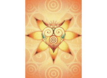 Load image into Gallery viewer, Ancient Animal Wisdom: Deck & Book Set Oracle - Down To Earth Co.