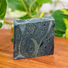 Load image into Gallery viewer, "Kambaba Jasper Chunk on a wooden base with green foliage in the background," - Down to Earth.
