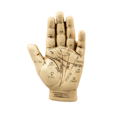 Load image into Gallery viewer, "Studio photograph of a single Palmistry Hand Kit on a white background," - Down to Earth.