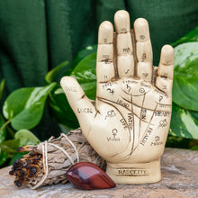 Load image into Gallery viewer, "Palmistry Hand Kit next to a white sage bundle and a single piece of tumbled red tiger's eye with green foliage in the background," - Down to Earth.