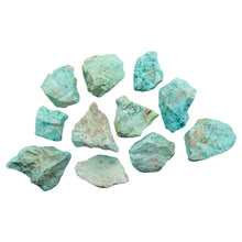 Load image into Gallery viewer, "Eleven pieces of raw turquoise against a white background," - Down to Earth.