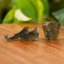 Load image into Gallery viewer, "Two pieces of rough Moldavite on a wooden base with green foliage in the background," - Down to Earth.