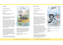 Load image into Gallery viewer, Spirit Animal Tarot - Down To Earth Co.