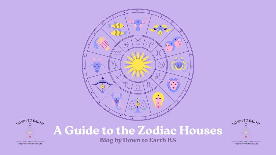 Beginner's Guide to the Zodiac Houses