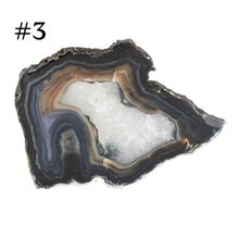 Load image into Gallery viewer, Premiere Agate Slice SM #3 on a white background - Down To Earth
