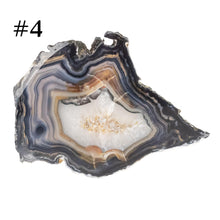 Load image into Gallery viewer, Premiere Agate Slice SM #4 on a white background - Down To Earth
