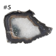 Load image into Gallery viewer, Premiere Agate Slice SM #5 on a white background - Down To Earth
