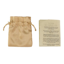 Load image into Gallery viewer, 7 Chakra Crystal Pendulum pouch and Instruction on a white background - Down To Earth
