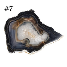 Load image into Gallery viewer, Premiere Agate Slice SM #7 on a white background - Down To Earth
