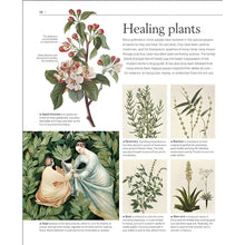 Load image into Gallery viewer, A History of Magic Witchcraft and The Occult Healing Plants - Down To Earth
