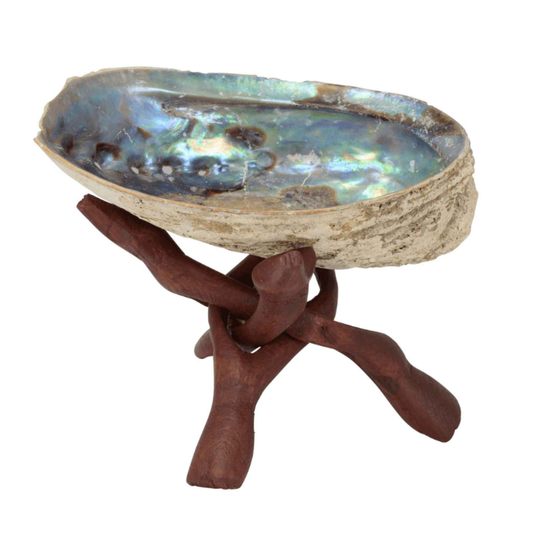 Wooden Tripod Abalone Shell Stand with Abalone Shell - Down To Earth