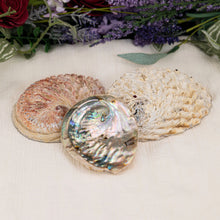Load image into Gallery viewer, Abalone Smudging Shell with white background and flowers - Down To Earth
