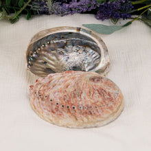 Load image into Gallery viewer, Abalone Smudging Shell with white background and flowers - Down To Earth
