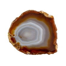 Load image into Gallery viewer, "Brown Sliced Agate crystal on a white background," - Down to Earth.
