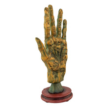 Load image into Gallery viewer, "Decorative palmistry hand sculpture on a white background," - Down to Earth.
