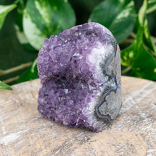 Load image into Gallery viewer, &quot;Single Amethyst Geode Cluster on a wooden table with green foliage in the background,&quot; - Down to Earth.
