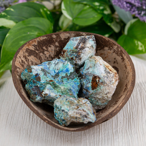 Azurite Raw in a coconut bowl - Down To Earth