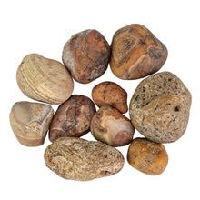 Load image into Gallery viewer, Bahia Agate Raw on a white background - Down to Earth 
