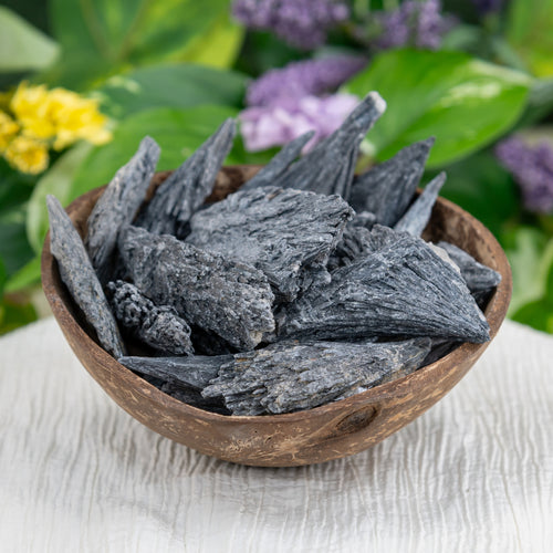 Black Kyanite Crystal in a coconut shell - Down To Earth