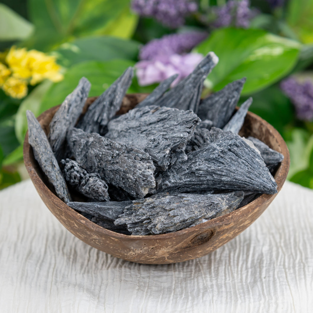 Black Kyanite Crystal in a coconut shell - Down To Earth