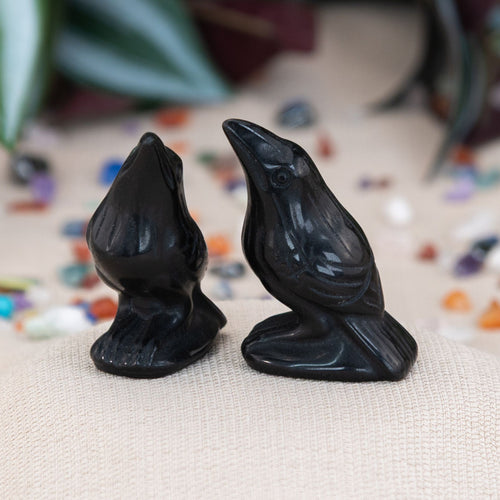 Photo of two crystal crows carved out of black obsidian styled - Down to Earth