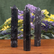 Load image into Gallery viewer, Black Tourmaline Obelisk on style background group photo - Down To Earth
